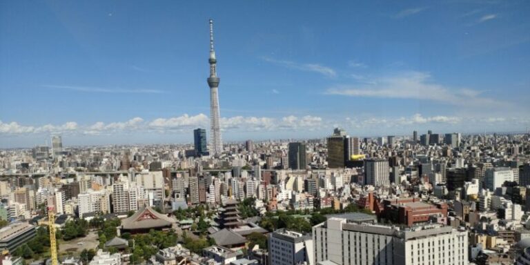 View from Asakusa View Hotel